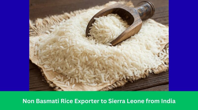 Non Basmati Rice Exporter to Sierra Leone from India
